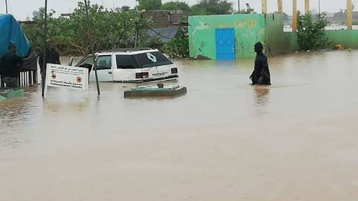 أرشيفية